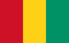 https://cdn.jsdbiz.com/flag/guinea.png
