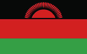 https://cdn.jsdbiz.com/flag/malawi.png