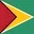 Guyana flag