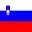 Slovenia flag