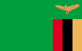 https://cdn.jsdbiz.com/flag/zambia.png