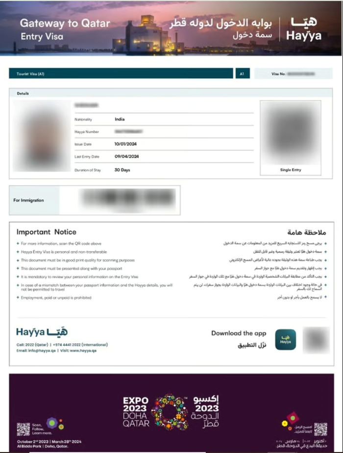 Qatar Sample eVisa