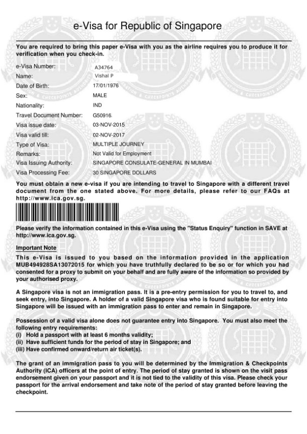 Singapore Sample Visa