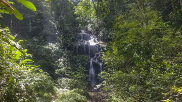 Brownsberg Nature Park Image