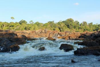 Central Suriname Nature Reserve Image