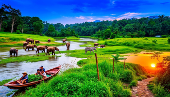 Chitwan National Park Image