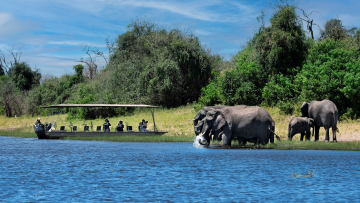 Chobe National Park Image