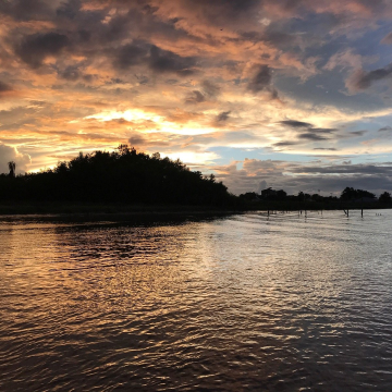 Commewijne River Image