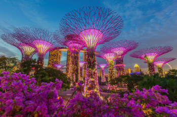 Gardens by the Bay Image