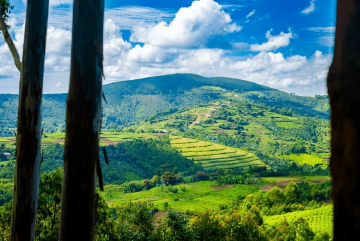 Kiganda Royal Grounds Image