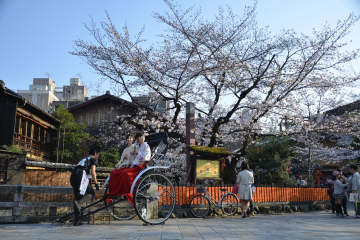 Kyoto Image