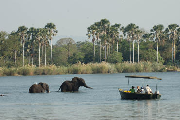 Liwonde National Park Image