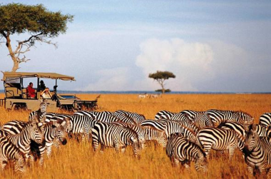 Maasai Mara Image