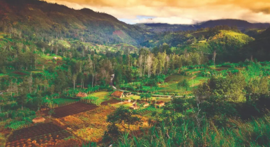 Mount Hagen Image