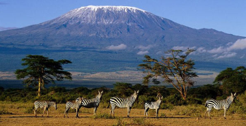 Mount Kilimanjaro Image