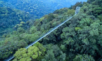 Nyungwe Forest Image