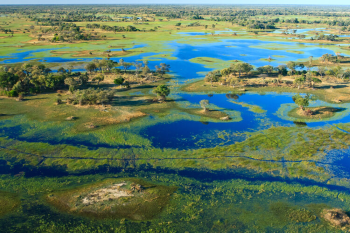 Okavango Delta Image