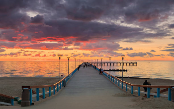 Palanga Image