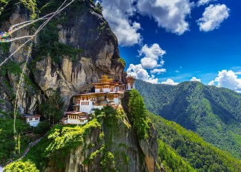 Paro Image