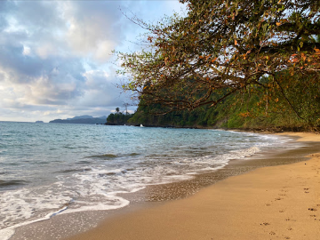 Praia Jalé Image