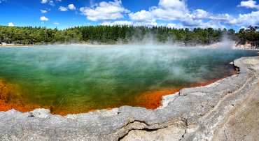 Rotorua Image