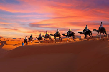 Sahara Desert Image