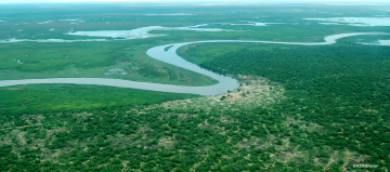 Sudd Wetlands Image