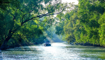 Sundarbans Image