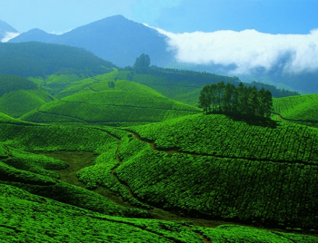 Sylhet Image
