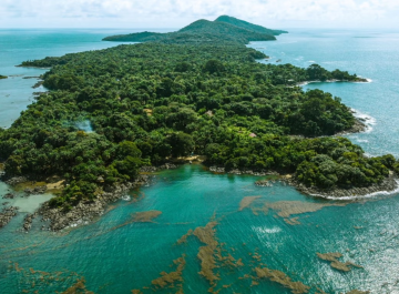 Tiwai Island Image