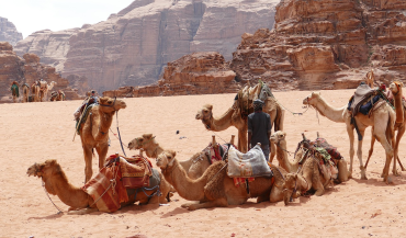 Wadi Rum Image