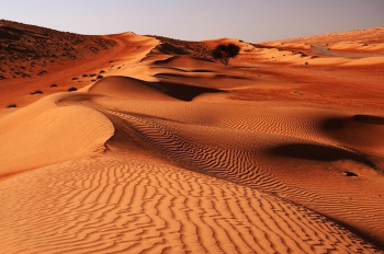 Wahiba Sands Image