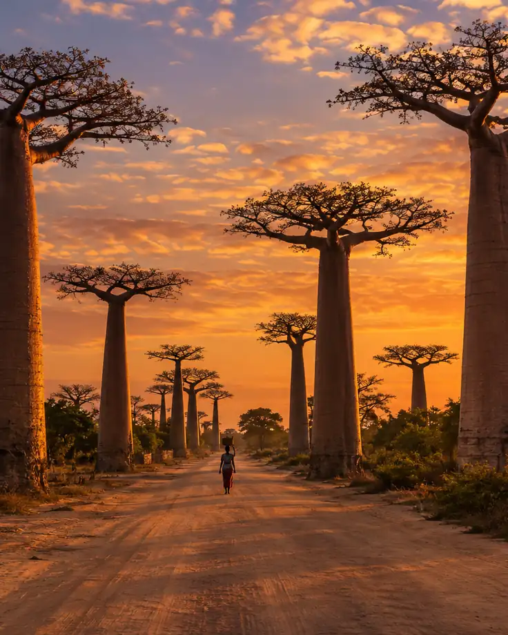 Madagascar Visa